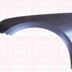 Wing, Left Front, 5E3821105B (SKODA)