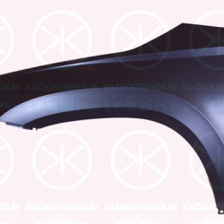 Wing, Left Front, 57A821105A (SKODA)