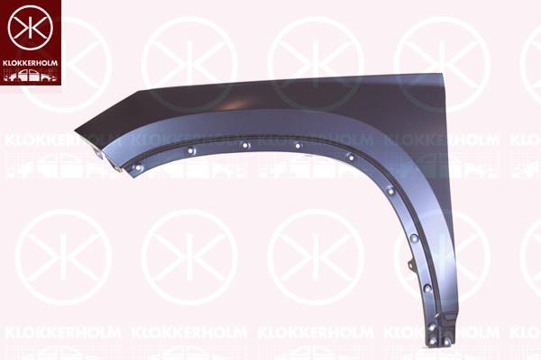 Wing, Right Front, 565821106 (SKODA)