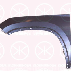 Wing, Right Front, 565821106 (SKODA)