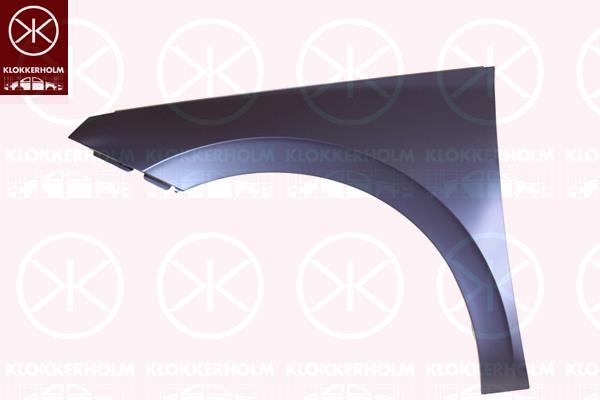 Wing, Right Front, 658821106B (SKODA)