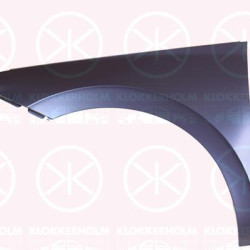 Wing, Right Front, 658821106B (SKODA)