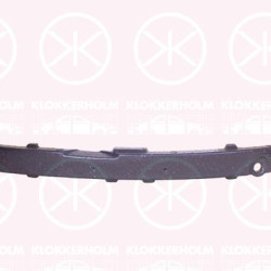 Impact Absorber, bumper, Front, Upper section, 110466900F (TESLA)