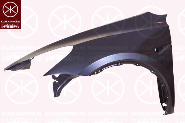 Wing, Right Front, with hole for direction indicator, 1493452E0A (TESLA), 1493452E0B (TESLA), 1493452ECC (TESLA), 1656102-ET-A (TESLA)