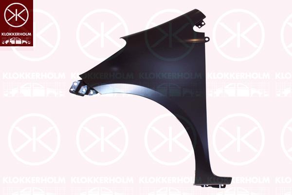 Wing, Left Front, without hole for direction indicator, 53802-74010 (TOYOTA)