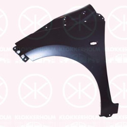 Wing, Left Front, with hole for direction indicator, 53812 0H030 (TOYOTA)