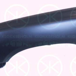 Wing, 2WD, Right Front, without hole for direction indicator, 53811 89124 (TOYOTA)