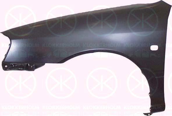 Wing, Right Front, with hole for direction indicator, 53811 10560 (TOYOTA)