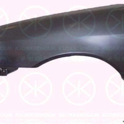 Wing, Right Front, with hole for direction indicator, 53811 10560 (TOYOTA)