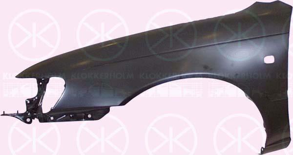 Wing, Left Front, with hole for direction indicator, 53802 1E680 (TOYOTA)