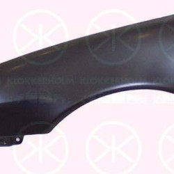 Wing, Left Front, with hole for direction indicator, 53812 02060 (TOYOTA), 53812 1E850 (TOYOTA)