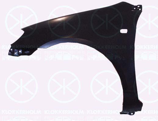 Wing, Left Front, with hole for direction indicator, 53812 02080 (TOYOTA), 53812 1H070 (TOYOTA)