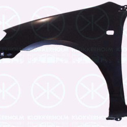 Wing, Left Front, with hole for direction indicator, 53812 02080 (TOYOTA), 53812 1H070 (TOYOTA)