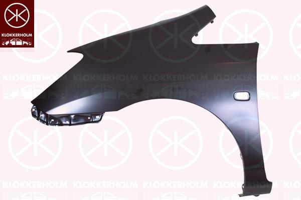 Wing, Right Front, with hole for direction indicator, 53811 13100 (TOYOTA)