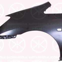 Wing, Right Front, with hole for direction indicator, 53811 13100 (TOYOTA)