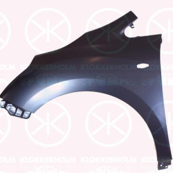 Wing, Left Front, with hole for direction indicator, 53812-0F020 (TOYOTA)