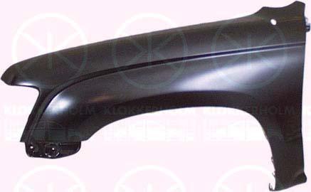 Wing, Left Front, without hole for direction indicator, 53802 35150 (TOYOTA), 53802 35281 (TOYOTA)