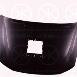 Bonnet, Turbo, with hole(s) for air scoop(s), 533010K021 (TOYOTA), 53301-0K021 (TOYOTA)