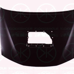 Bonnet, Turbo, with hole(s) for air scoop(s), 53301 0K110 (TOYOTA), 53301 0K111 (TOYOTA)