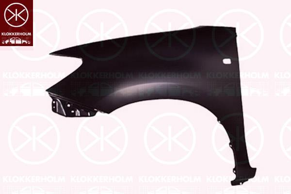 Wing, Left Front, with hole for direction indicator, 538120K010 (TOYOTA), 53812-0K010 (TOYOTA)