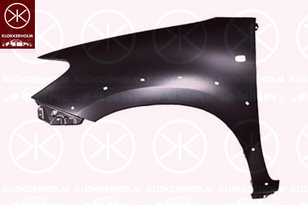 Wing, Left Front, with holes for extensions, with hole for direction indicator, 538120K020 (TOYOTA), 53812-0K020 (TOYOTA)