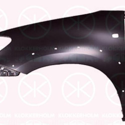 Wing, Left Front, with holes for extensions, with hole for direction indicator, 538120K020 (TOYOTA), 53812-0K020 (TOYOTA)