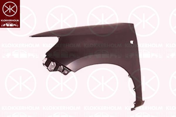 Wing, Right Front, with hole for direction indicator, 53811 0K080 (TOYOTA)