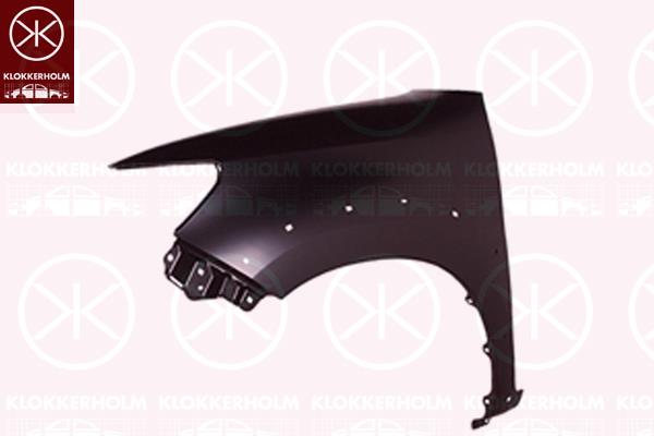 Wing, Left Front, with holes for extensions, 53812 0K110 (TOYOTA)