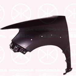 Wing, Left Front, with holes for extensions, 53812 0K110 (TOYOTA)