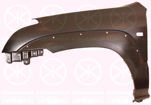 Wing, Right Front, with holes for trim/protective strip, with hole for direction indicator, 53801 60850 (TOYOTA)