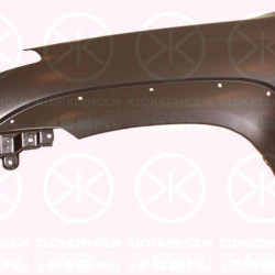 Wing, Right Front, with holes for trim/protective strip, with hole for direction indicator, 53801 60850 (TOYOTA)