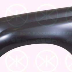 Wing, Left Front, with hole for direction indicator, 53802-60070 (TOYOTA)