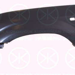 Wing, Right Front, with hole for direction indicator, 53801 6A021 (TOYOTA)