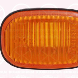 Direction Indicator, without bulb holder, yellow, lateral installation, 8173005010 (TOYOTA), 81730-17051 (TOYOTA), 81730-20210 (TOYOTA)