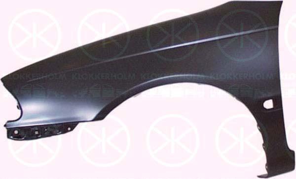 Wing, Left Front, with hole for direction indicator, 53812 05030 (TOYOTA)