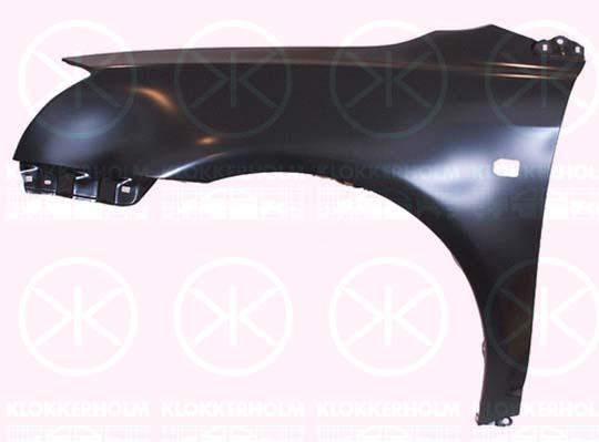 Wing, Right Front, with hole for direction indicator, 53811 05020 (TOYOTA)