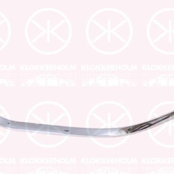 Trim/Protection Strip, bumper, chrome, Left Front, 53124-0D190 (TOYOTA)