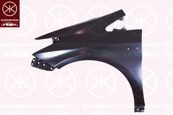 Wing, Left Front, without hole for direction indicator, 53802 47040 (TOYOTA), 53802 47050 (TOYOTA)