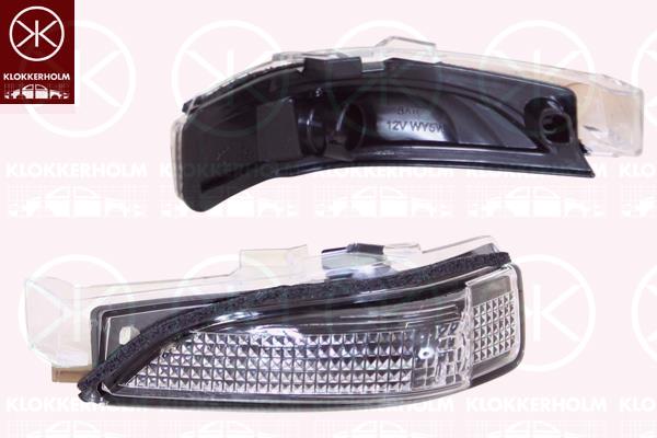 Direction Indicator, Left, Exterior Mirror, 8174102040 (TOYOTA)