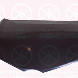 Bonnet, Steel, 53301 02260 (TOYOTA), 53301-12B10 (TOYOTA)