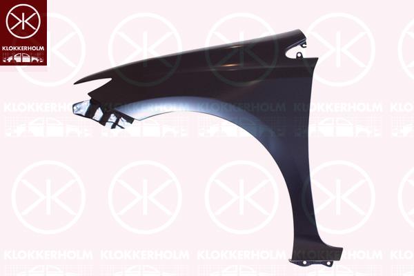 Wing, black, Left Front, 53812-02340 (TOYOTA)