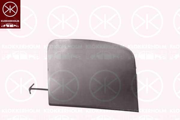 Flap, tow hook, Front, 52128-F4901 (TOYOTA)