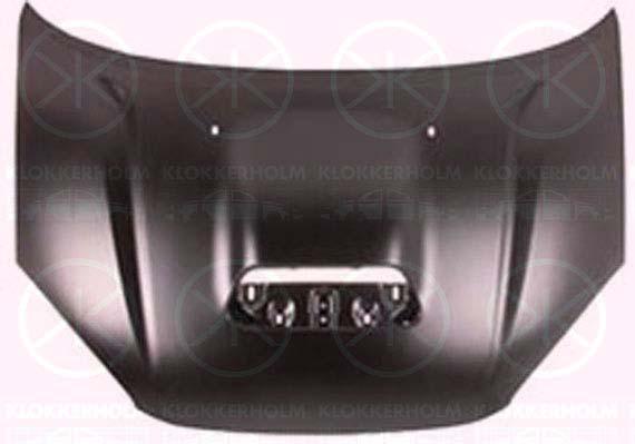 Bonnet, with hole(s) for air scoop(s), 53301 42050 (TOYOTA)