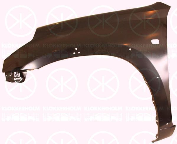 Wing, Right Front, with holes for extensions, with hole for direction indicator, 53811 42160 (TOYOTA)