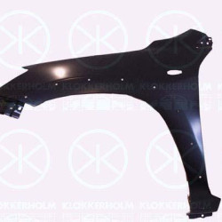 Wing, Left Front, with holes for extensions, with hole for direction indicator, 53812 42250 (TOYOTA)