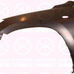 Wing, Right Front, with hole for direction indicator, 53801 42140 (TOYOTA)