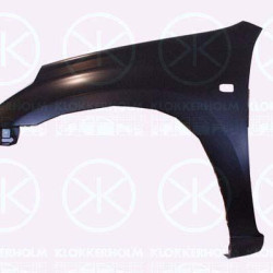 Wing, Right Front, with hole for direction indicator, 53811 42150 (TOYOTA)