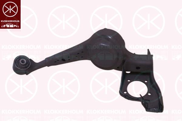 Control/Trailing Arm, wheel suspension, with bush, Rear Axle Left, Trailing Arm, Full Body Section, 48720 42030 (TOYOTA)