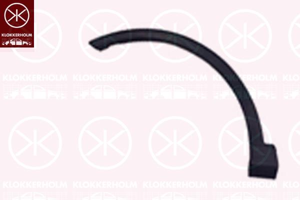 Flaring, wing, Left Front, Plastic, 756020R060 (TOYOTA), 7560242100 (TOYOTA), 75602-42100 (TOYOTA)