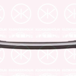 Trim/Protection Strip, bumper, Front, Lower Section, chrome/black, 5271142040 (TOYOTA), 52711-42040 (TOYOTA)